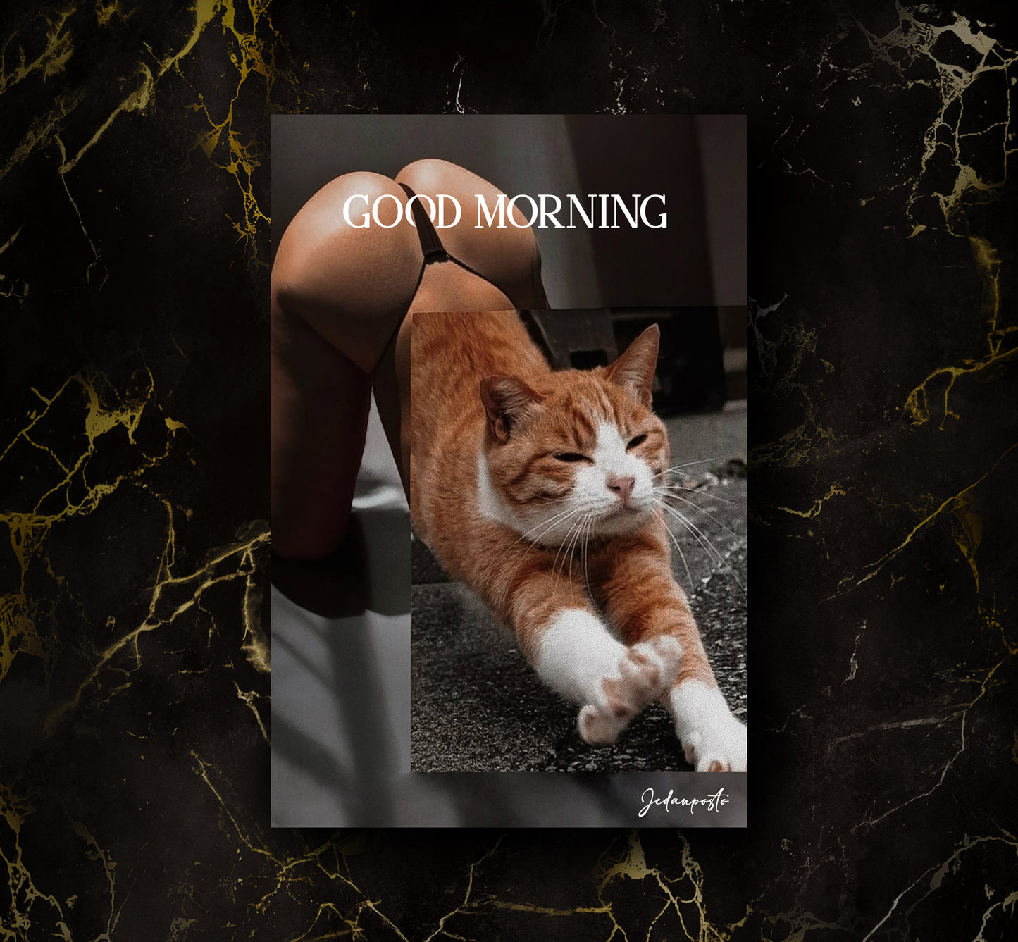 Hot Desire Cat | LED Neon Slika